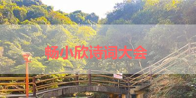 畅小欣诗词大会 