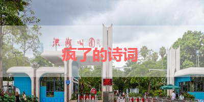 疯了的诗词 