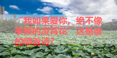 “我如果爱你，绝不像攀援的凌霄花”这是谁的哪首诗？ 