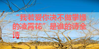 “我若爱你决不做攀缘的凌霄花”是谁的诗全诗 