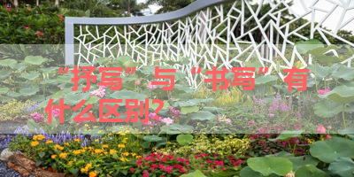 “抒写”与“书写”有什么区别？ 