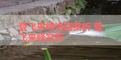 登飞来峰诗词赏析 登飞来峰赏析