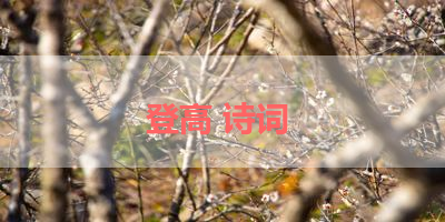 登高 诗词 