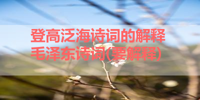 登高泛海诗词的解释 毛泽东诗词(要解释) 