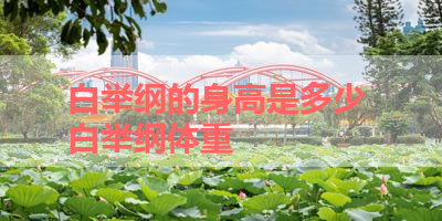 白举纲的身高是多少 白举纲体重