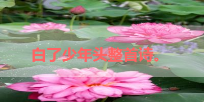 白了少年头整首诗。 