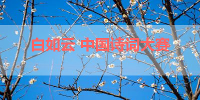白如云 中国诗词大赛 