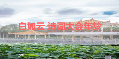 白如云 诗词大会年龄 