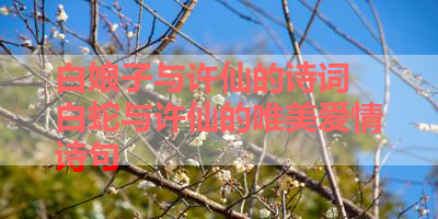 白娘子与许仙的诗词 白蛇与许仙的唯美爱情诗句 