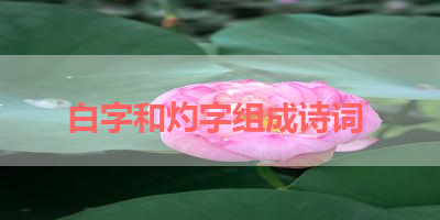白字和灼字组成诗词 