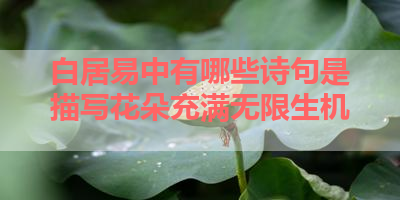 白居易中有哪些诗句是描写花朵充满无限生机 