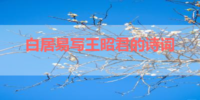 白居易写王昭君的诗词 