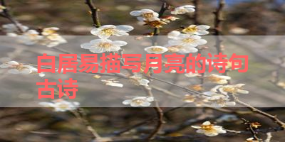 白居易描写月亮的诗句古诗 