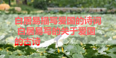 白居易描写爱国的诗词 白居易写的关于爱国的古诗 