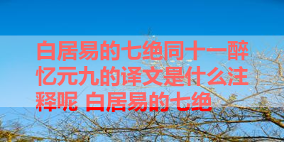 白居易的七绝同十一醉忆元九的译文是什么注释呢 白居易的七绝