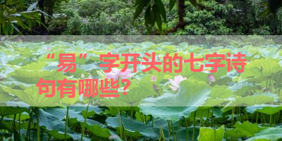 “易”字开头的七字诗句有哪些？ 