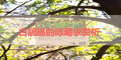 白居易的咏菊求赏析 