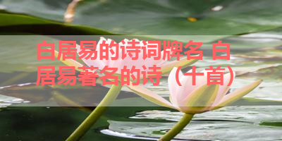 白居易的诗词牌名 白居易著名的诗（十首） 