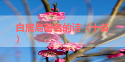 白居易著名的诗（十首） 