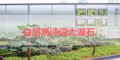 白居易诗词太湖石 