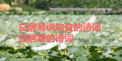 白居易说知音的诗词 白居易的诗词