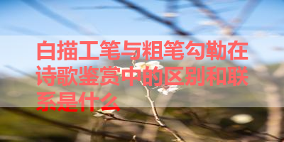 白描工笔与粗笔勾勒在诗歌鉴赏中的区别和联系是什么 