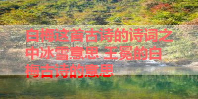 白梅这首古诗的诗词之中冰雪意思 王冕的白梅古诗的意思