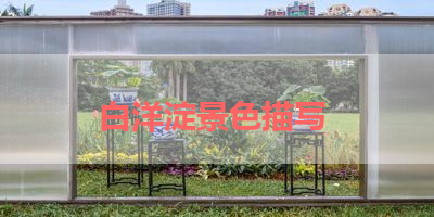 白洋淀景色描写 