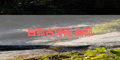 白狐古诗词 白狐