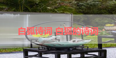 白狐诗词 白狐的诗词