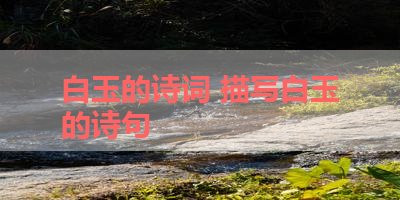 白玉的诗词 描写白玉的诗句 