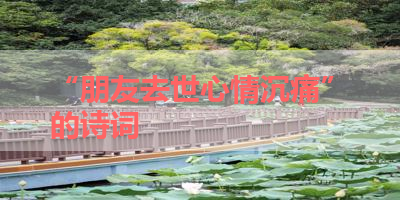 “朋友去世心情沉痛”的诗词 