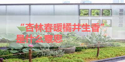 “杏林春暖橘井生香”是什么意思 