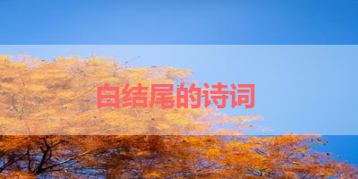 白结尾的诗词 