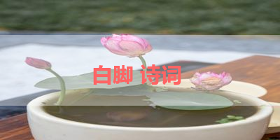 白脚 诗词 