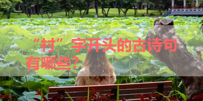 “村”字开头的古诗句有哪些？ 
