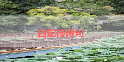 白蛇传诗句 