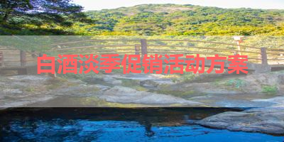 白酒淡季促销活动方案 