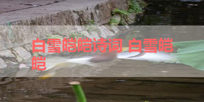 白雪皑皑诗词 白雪皑皑