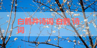 白鹤井诗词 白鹤 诗词