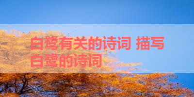 白鹭有关的诗词 描写白鹭的诗词