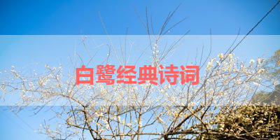 白鹭经典诗词 