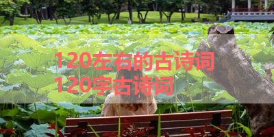 120左右的古诗词 120字古诗词 