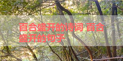 百合盛开的诗词 百合盛开的句子