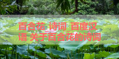 百合花_诗词_百度汉语 关于百合花的诗词