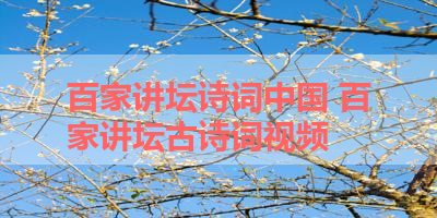 百家讲坛诗词中国 百家讲坛古诗词视频
