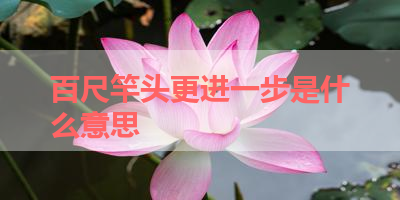 百尺竿头更进一步是什么意思 