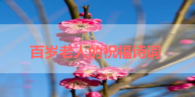 百岁老人的祝福诗词 