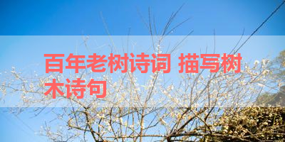 百年老树诗词 描写树木诗句 