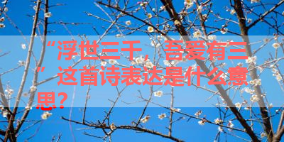 “浮世三千，吾爱有三”这首诗表达是什么意思？ 